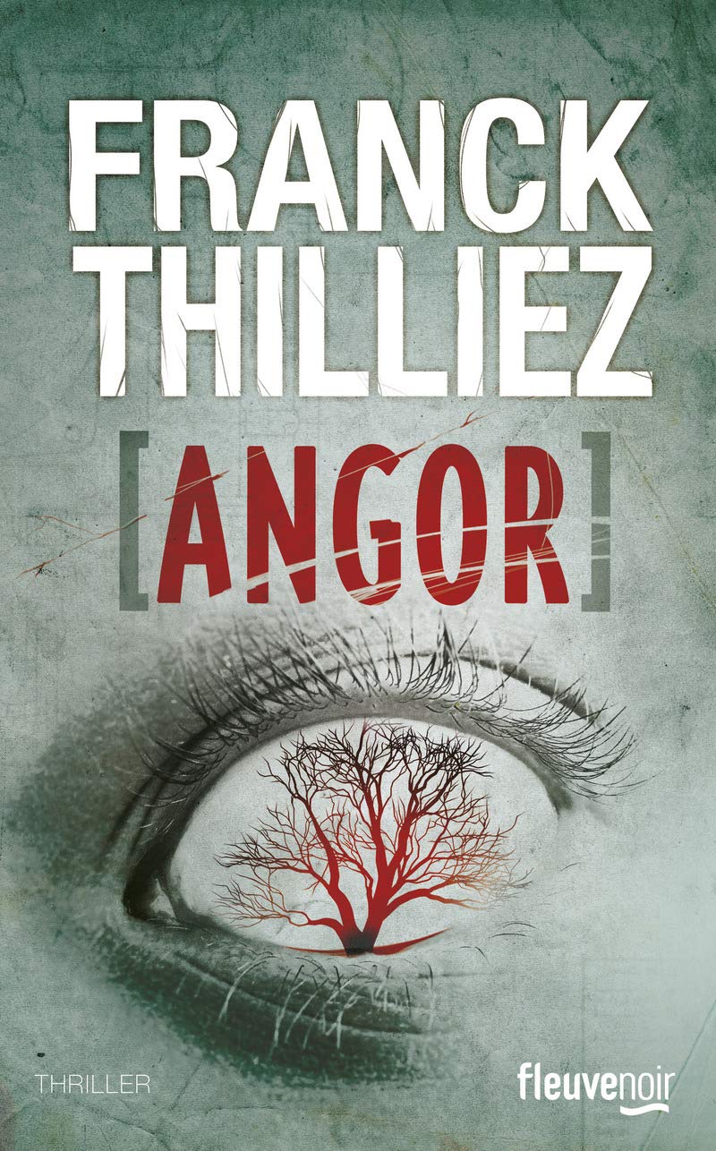 Livre Angor - Franck Thilliez (Livre d'occasion) - ISBN 2265098698