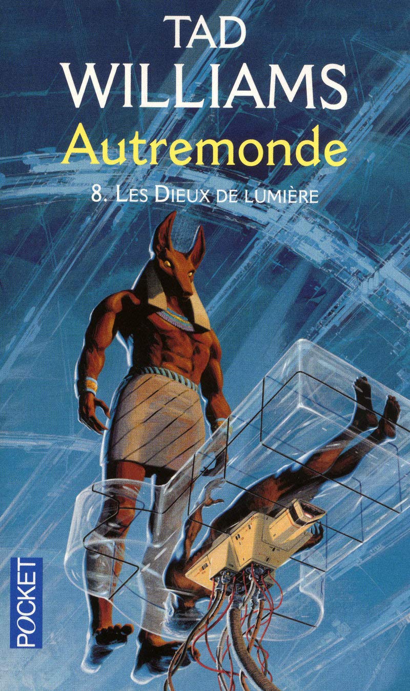 Livre Les dieux de lumière - Tad William (Livre d'occasion) - ISBN 2266213148