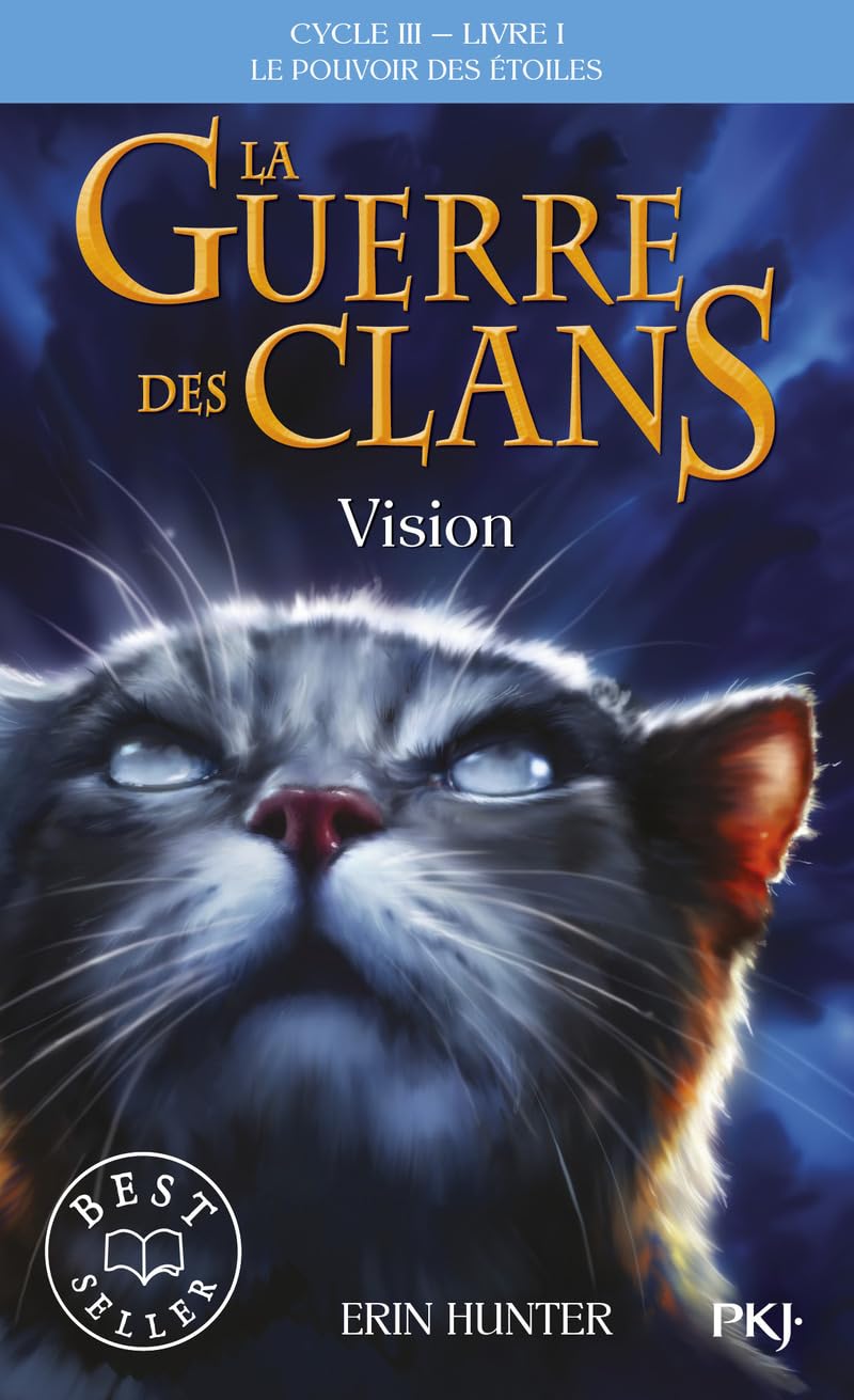 Livre Vision - Erin Hunter (Livre d'occasion)