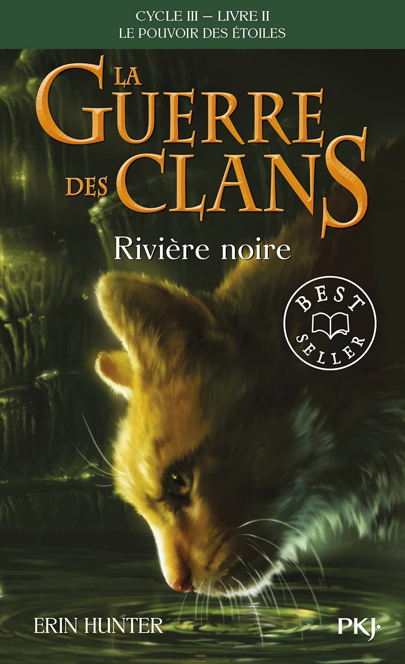Livre Rivière noire - Erin Hunter (Livre d'occasion)