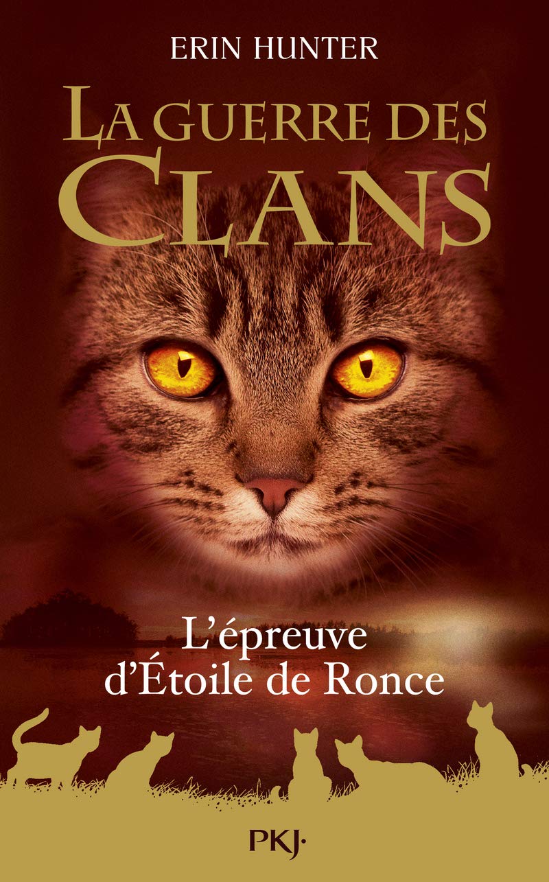 Livre L'épreuve d'Étoile de Ronce - Erin Hunter (Livre d'occasion) - ISBN 2266286862