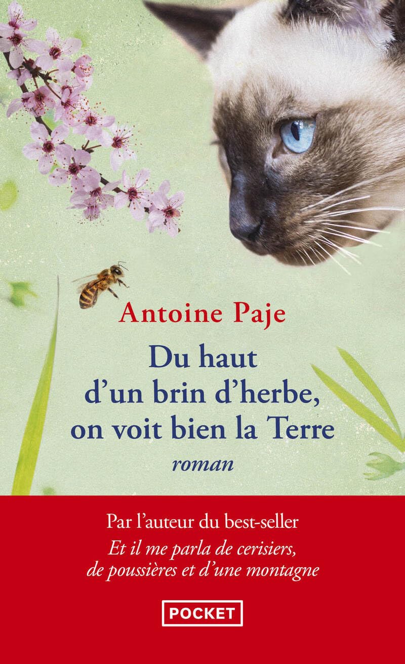 Livre Du haut d'un brin d'herbe, on voit bien la Terre - Antoine Paje (Livre d'occasion) - ISBN 2...