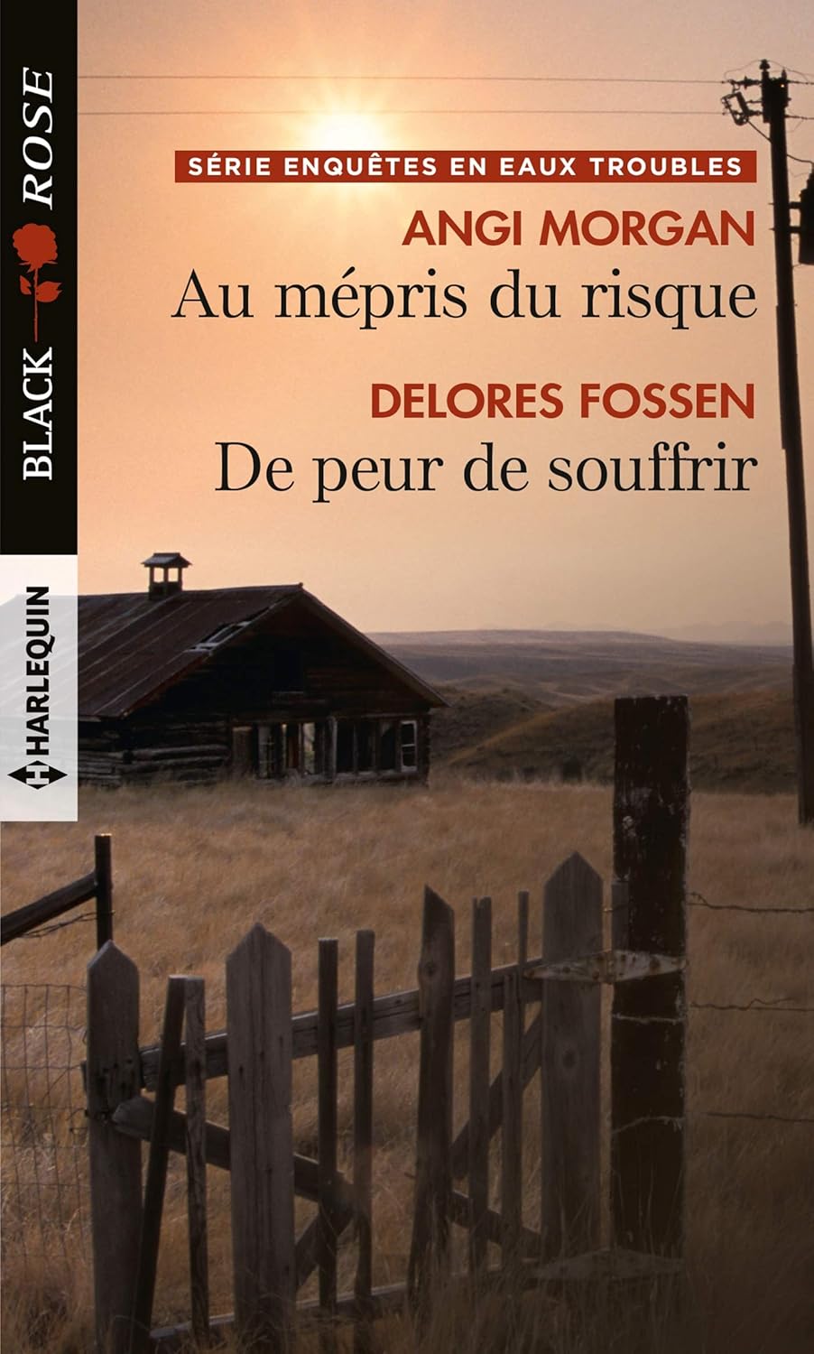 Black Rose (Harlequin) # 532 : Au mépris du risque -suivi de- De peur de souffrir - Angi Morgan