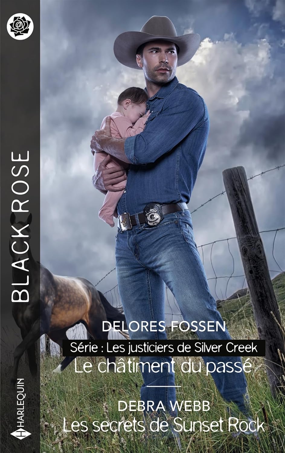Livre Le châtiment du passé - Les secrets de Sunset Rock - Delores Fossen (Livre d'occasion)