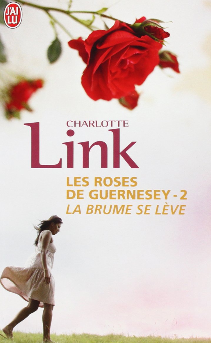 Livre La brûme se lève - Charlotte Link (Livre d'occasion) - ISBN 2290355682