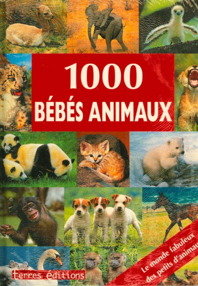 Livre 1000 Bébés animaux - Collectif (Livre d'occasion)