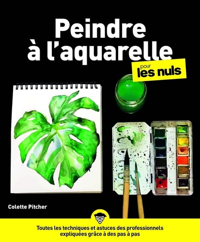 Livre Peindre à l'aquarelle pour les nuls (Colette Pitcher) (Livre d'occasion) - ISBN 2412055955