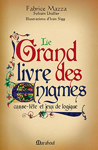 Livre Le grand livre des énigmes - Fabrice Mazza (Livre d'occasion) - ISBN 2501049322