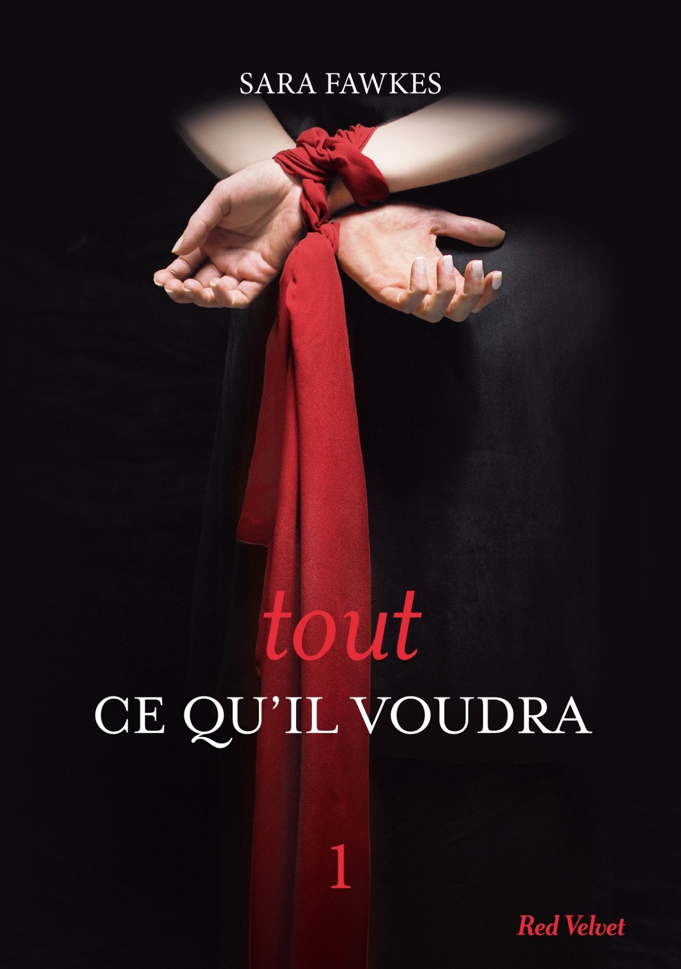 Livre Tout ce qu'il voudra - Sara Fawkes (Livre d'occasion) - ISBN 2501084608
