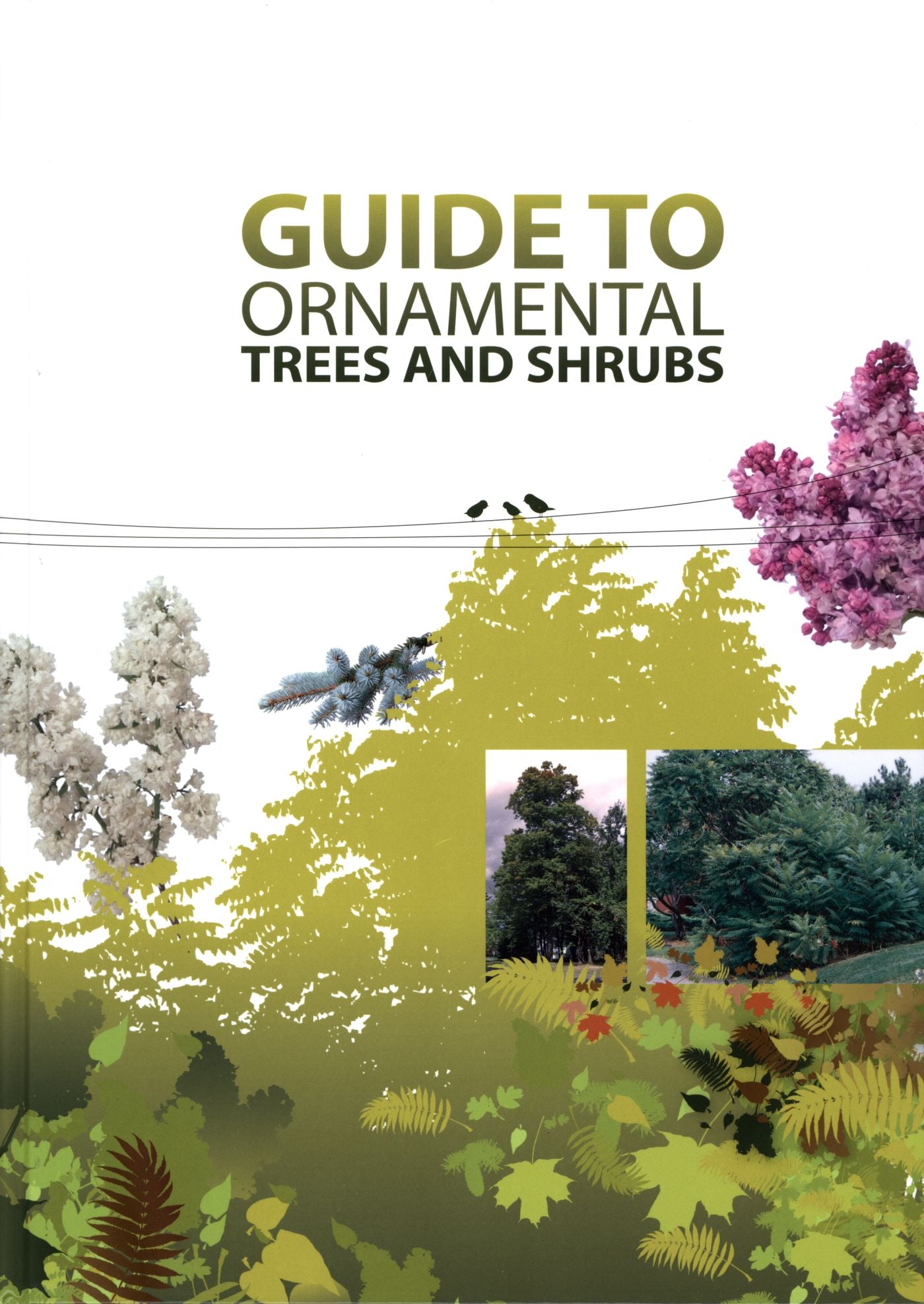 Livre Guide To Ornamental Trees And Shrubs (Gervais Pellerin) (Livre d'occasion) - ISBN 2551228026