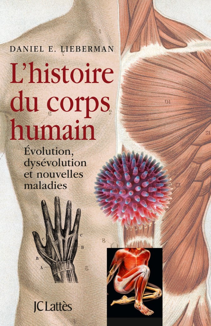 Livre L'histoire du corps humain : Évolution, dysévolution et nouvelles maladies - Daniel E. Lieb...