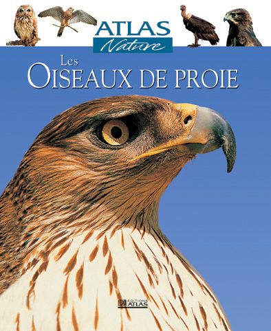 Atlas Nature : Les oiseaux de proie