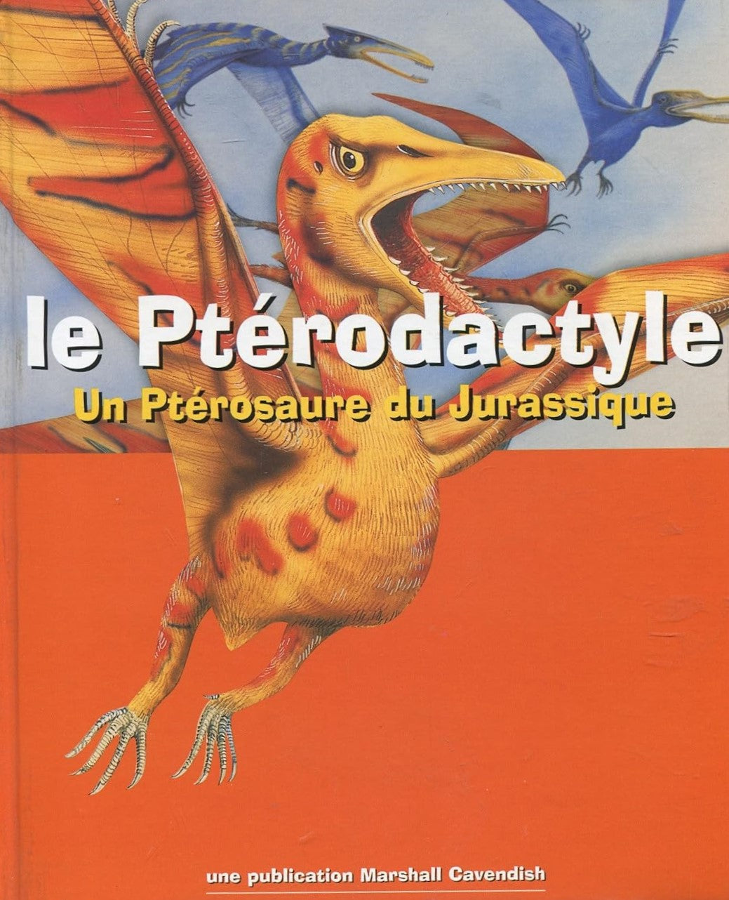 Le ptérodactyle : Un ptérosaure du Jurassique - Graham Coleman