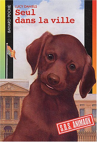 Livre Seul dans la ville - Lucy Daniels (Livre d'occasion) - ISBN 2747009114