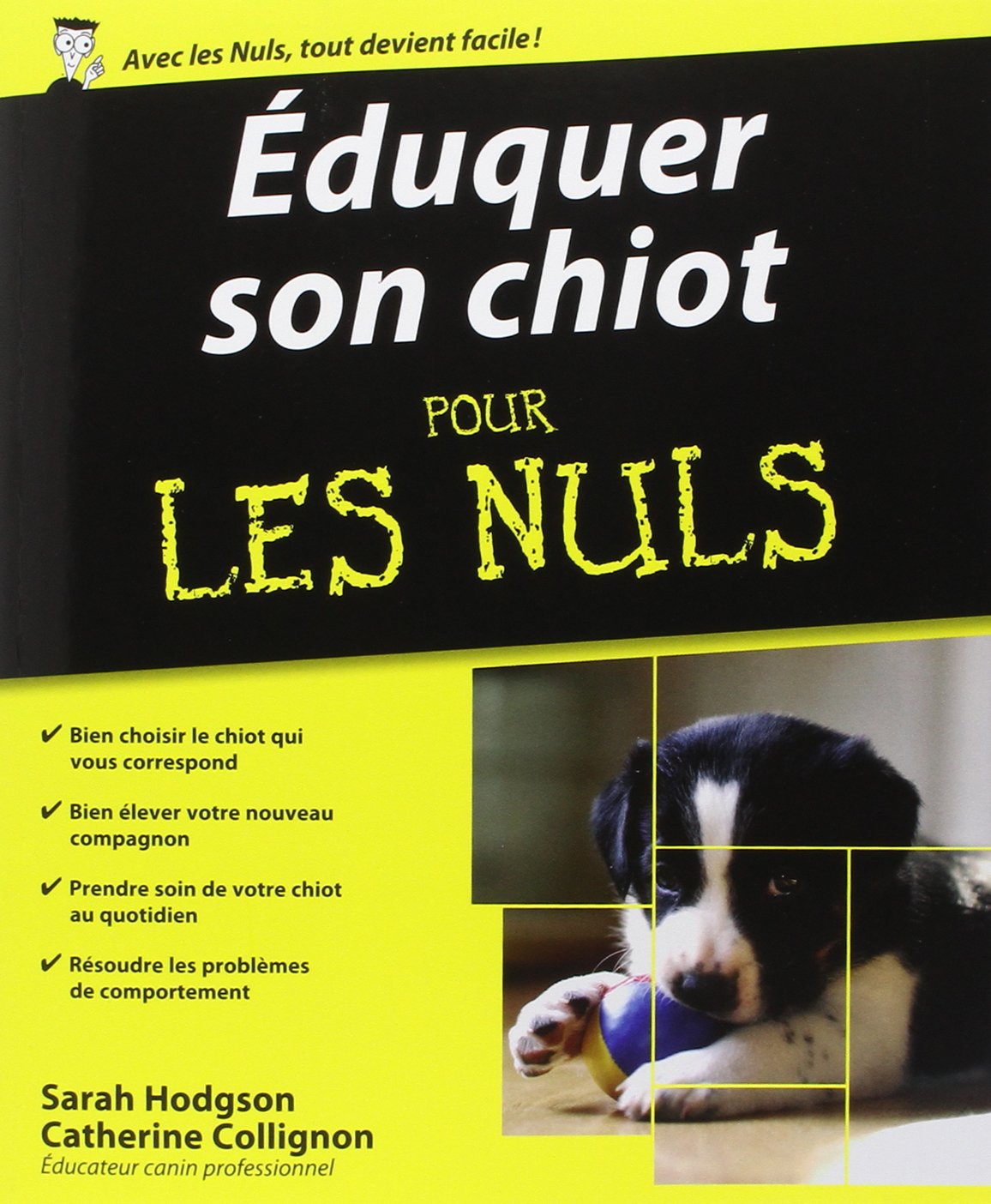 Livre Éduquer son chien pour les nuls - Sarah Hodgson (Livre d'occasion) - ISBN 275400372X