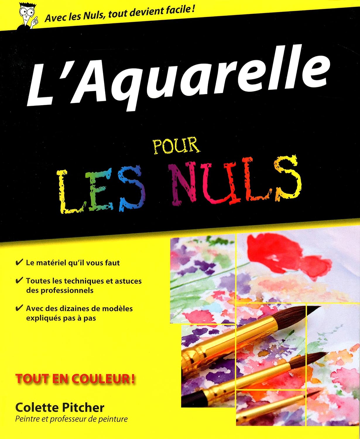 Livre L'aquarelle - Colette Pitcher (Livre d'occasion) - ISBN 2754009345