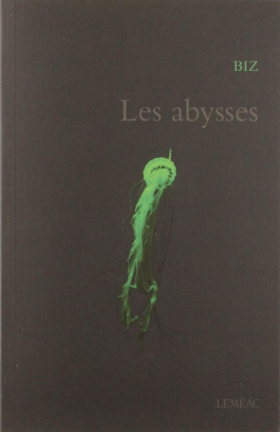 Livre ISBN 2760904687 Les abysses (Biz)