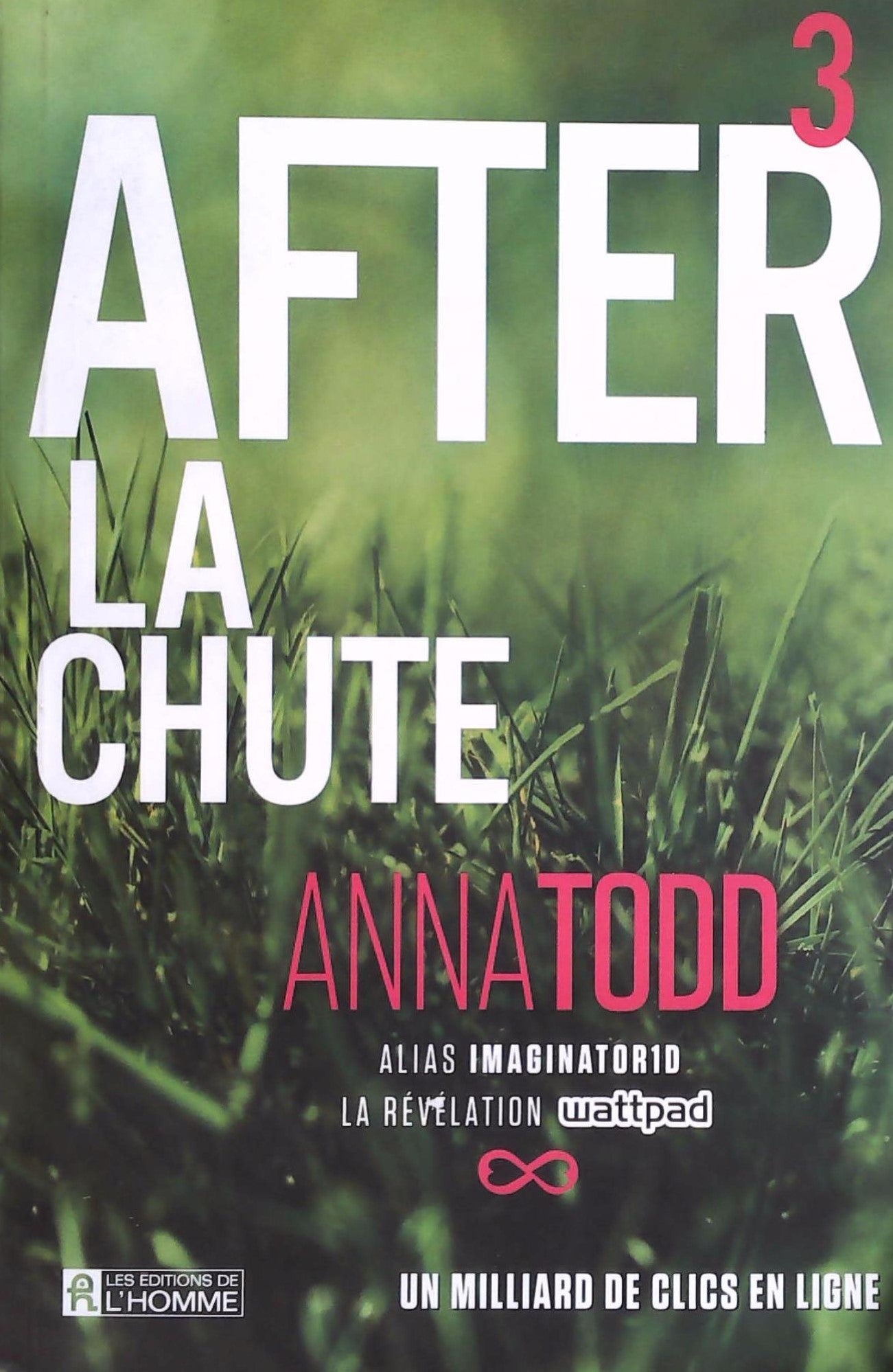Livre La Chute - Anna Todd (Livre d'occasion)