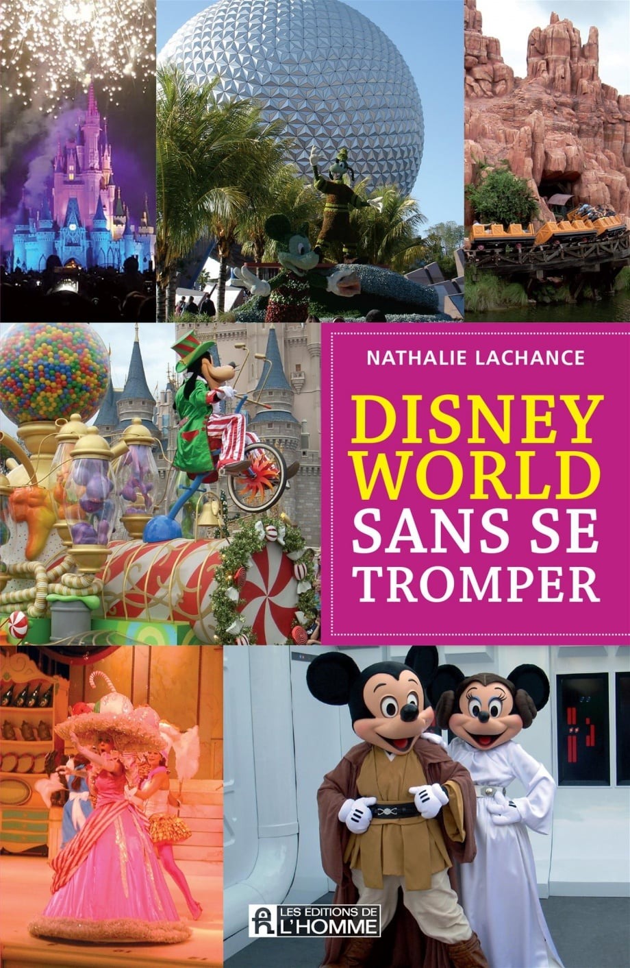Livre Disney World sans se tromper - Nathalie Lachance (Livre d'occasion)