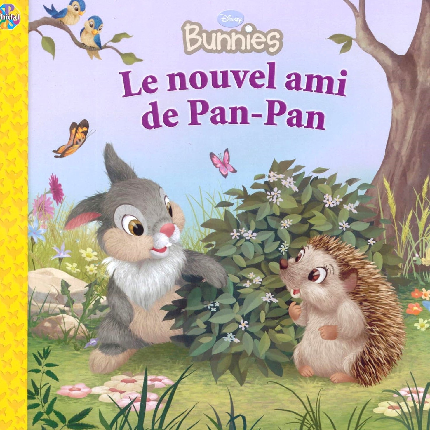 Livre Le nouvel ami de Pan-Pan - Collectif (Livre d'occasion) - ISBN 2764310889
