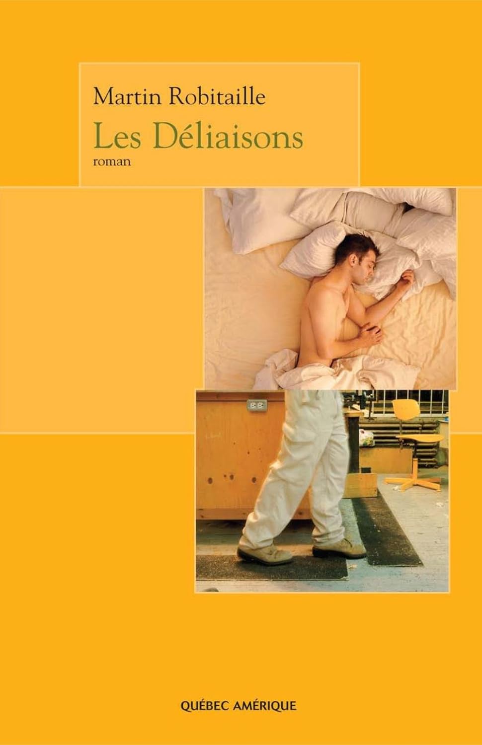 Livre Les Déliaisons - Daniel Robitaille (Livre d'occasion)