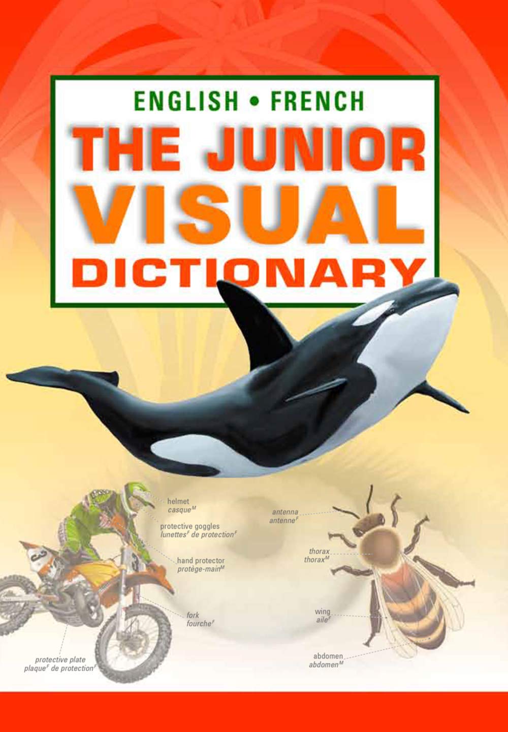 Livre The Junior Visual Dictionary (Livre d'occasion) - ISBN 2764408145