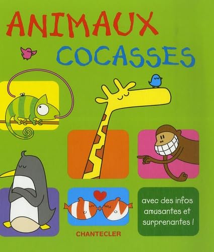 Livre Animaux cocasses - Collectif (Livre d'occasion) - ISBN 2803449951