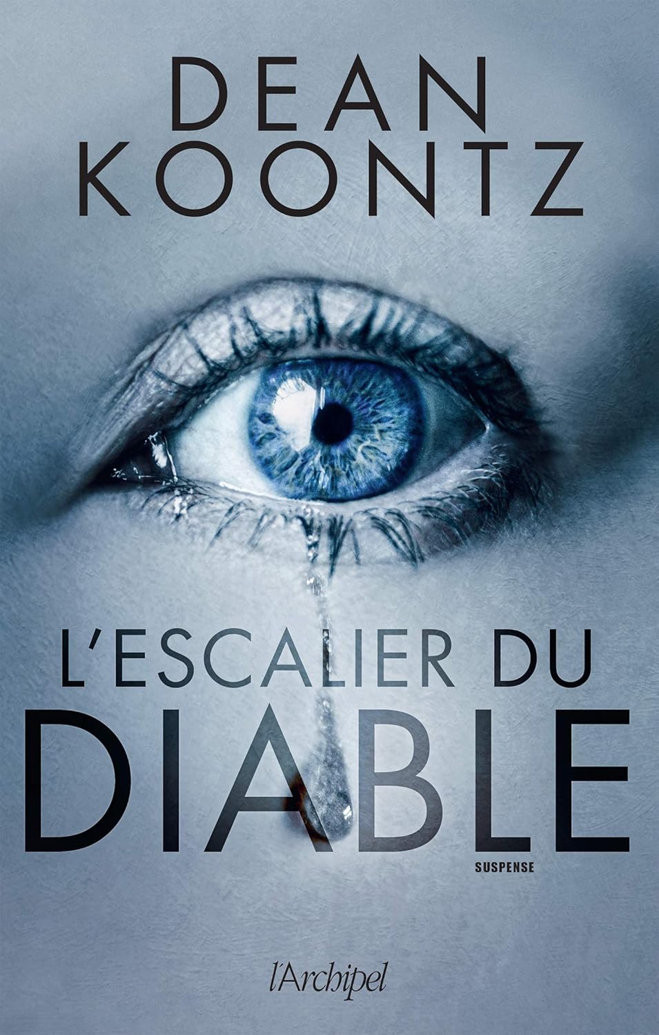 Livre L'escalier du diable - Dean Koontz (Livre d'occasion) - ISBN 2809827796