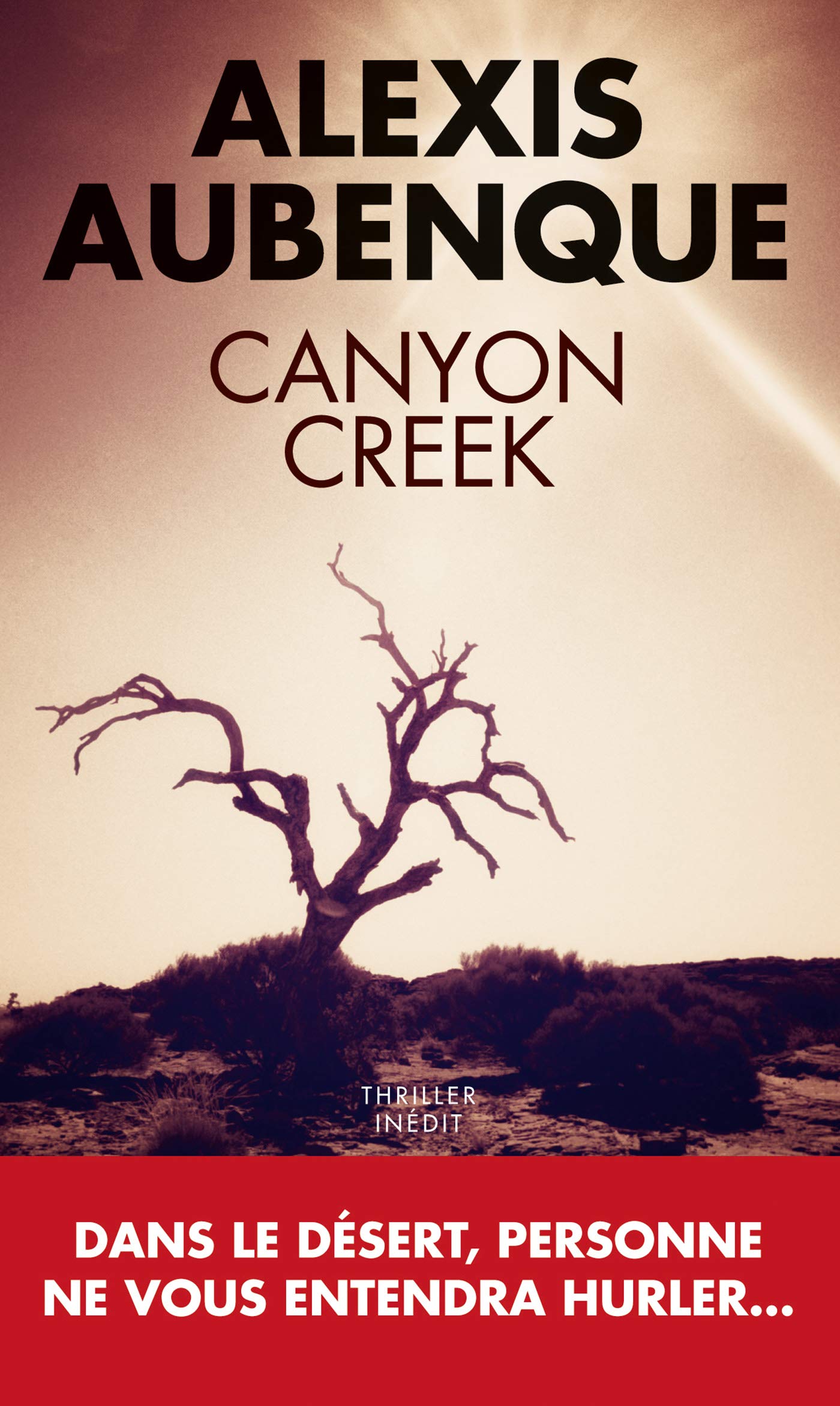 Livre Canyon creek - Alexis Aubenque (Livre d'occasion) - ISBN 2810004978