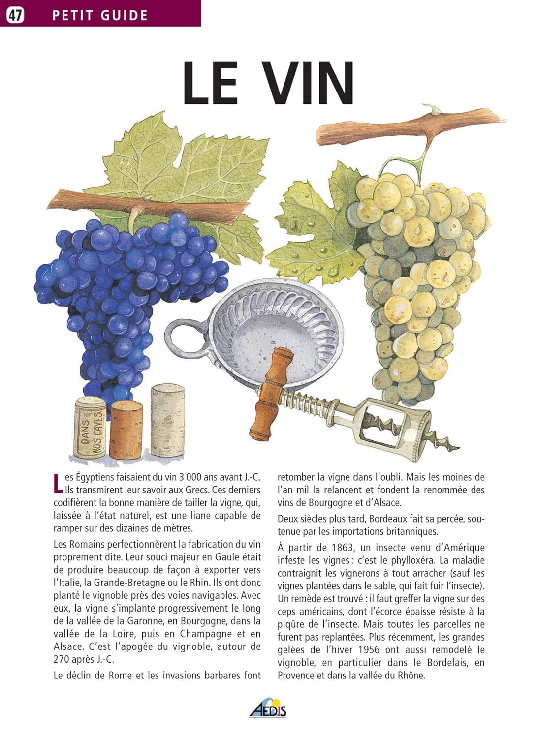 Livre Le vin (Livre d'occasion) - ISBN 2842590732