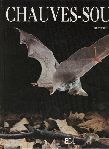 Livre Chauves-souris (Béatrice Fontanel) (Livre d'occasion) - ISBN 2843082811