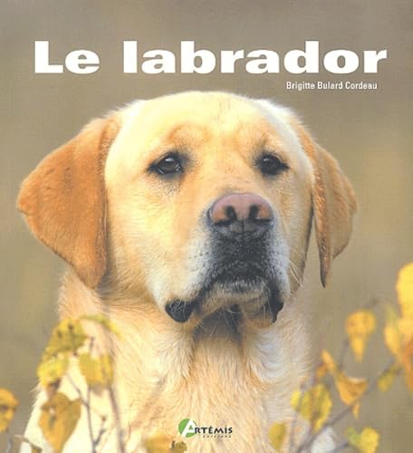 Le Labrador - Brigitte Bulard Cordeau