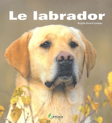 Livre Le Labrador - Brigitte Bulard Cordeau (Livre neuf) - ISBN 2844162061