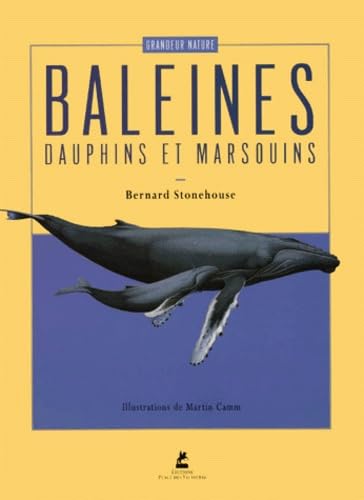 Livre Baleines, dauphins et marsouins - Bernard Stonehouse (Livre d'occasion) - ISBN 2844590195