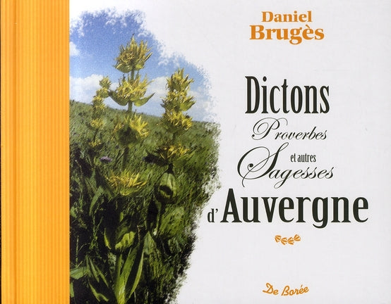 Livre Dictons, proverbes et autres sagesses d'Auvergne - Daniel Brugès (Livre d'occasion)