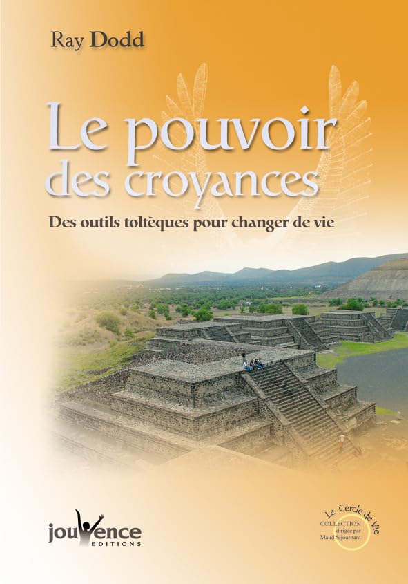 Livre Le pouvoir des croyances : Des outils toltèques pour changer de vie - Ray Dodd (Livre d'occ...