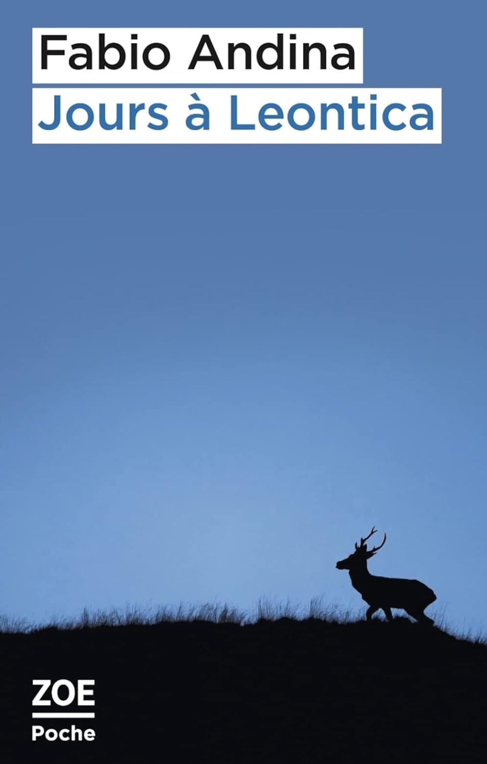 Livre Jours à Leontica - Fabio Andina (Livre d'occasion) - ISBN 2889071073