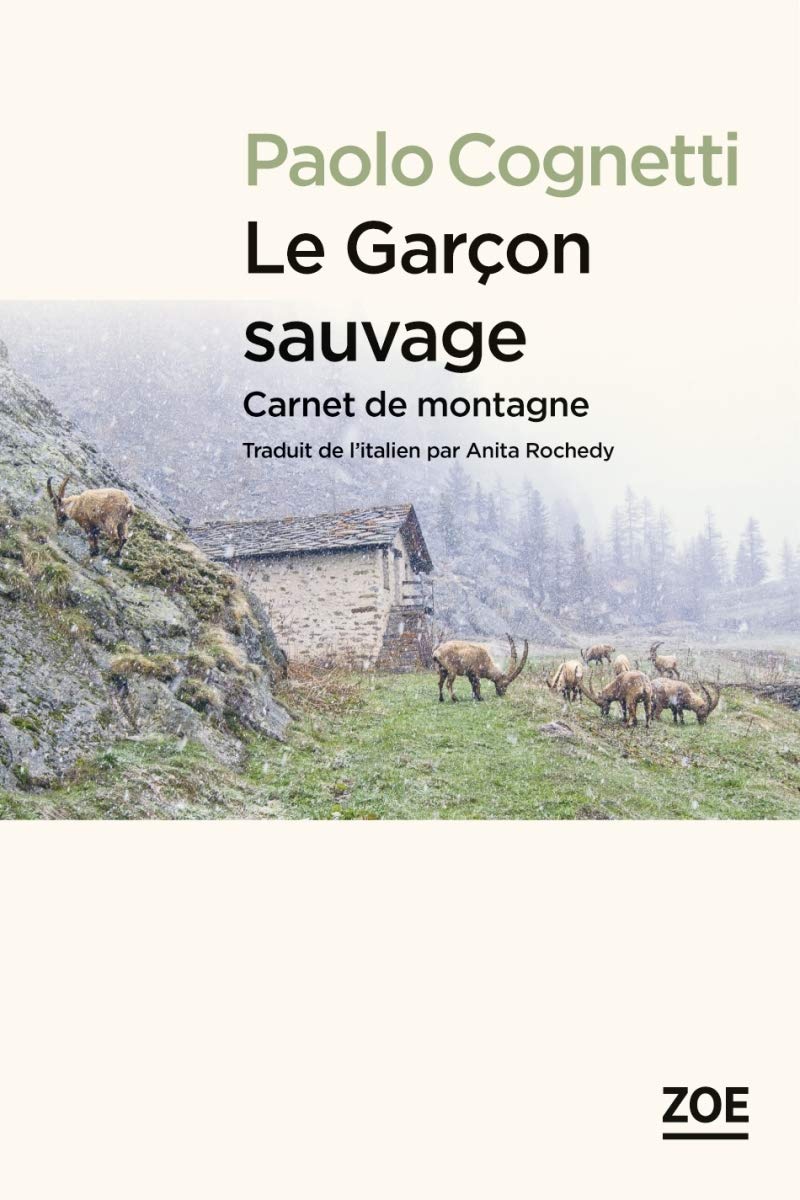 Livre Le garçon sauvage : Carnet de montagne - Paolo Congetti (Livre neuf)