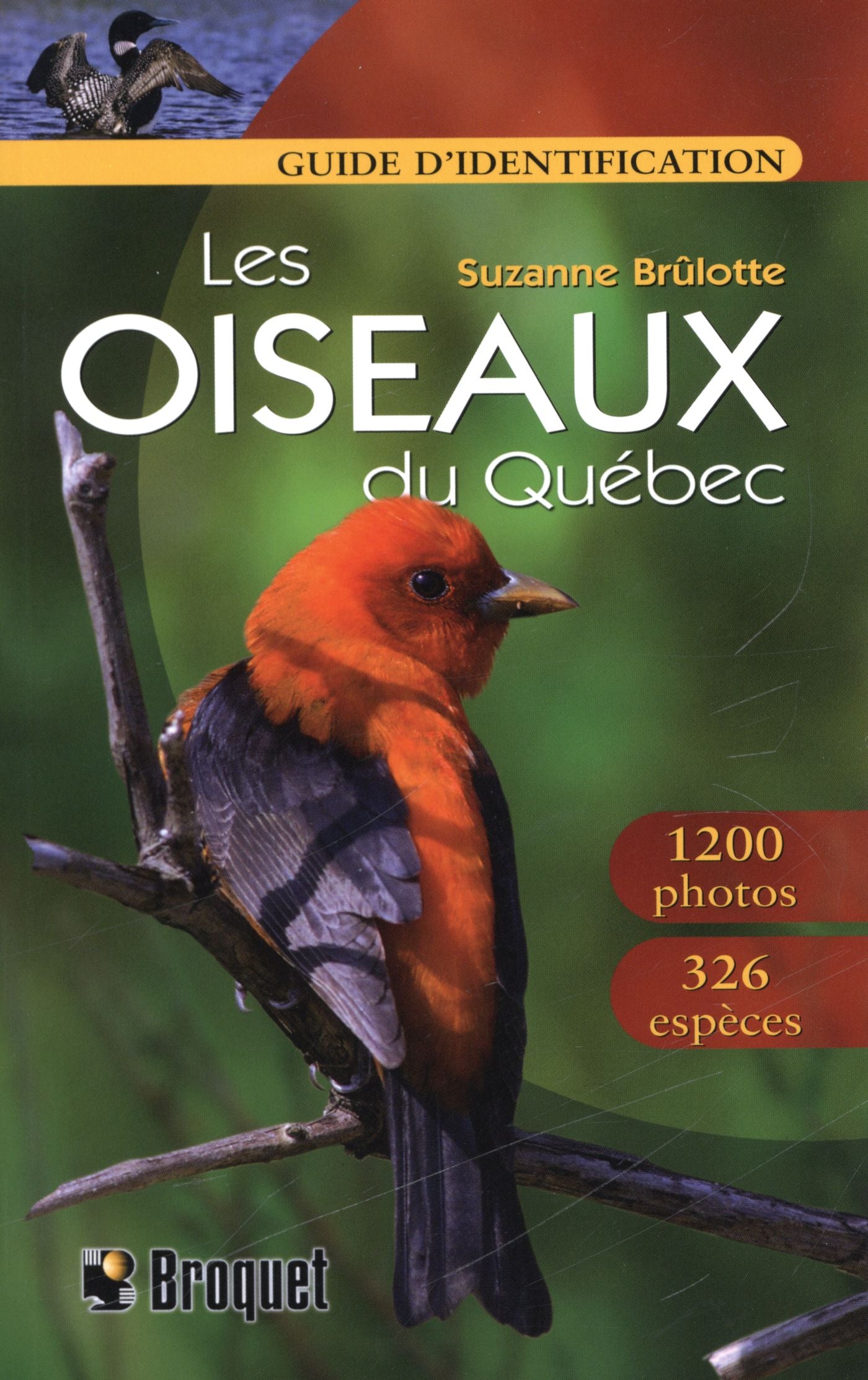 Les oiseaux du Québec : Guide d'identification - Suzanne Brûlotte