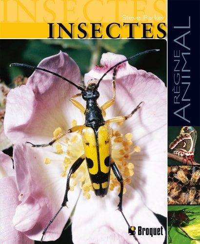 Livre Insectes (Steve Parker) (Livre d'occasion) - ISBN 2890008452