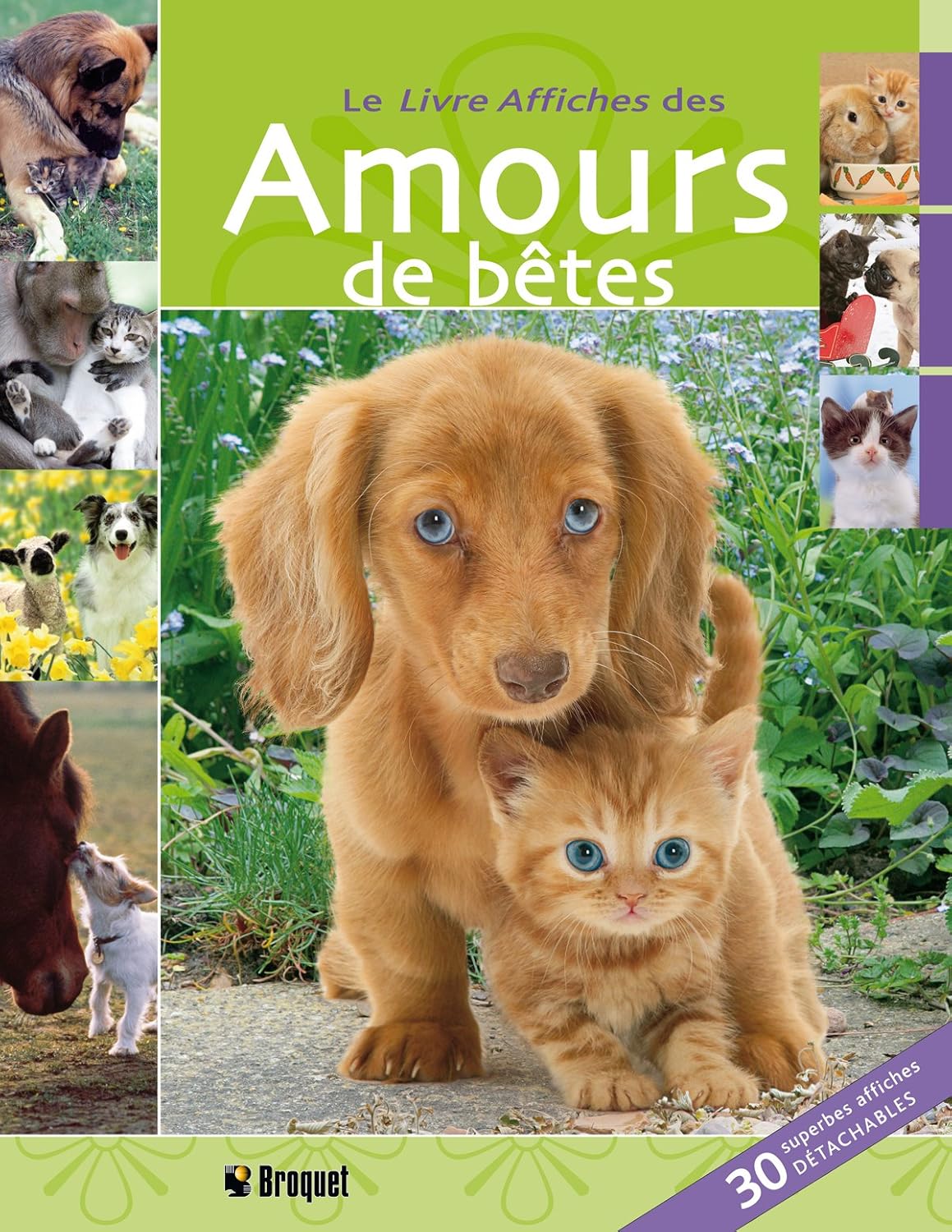 Le livre affiches des Amours de bêtes - Jane Moseley