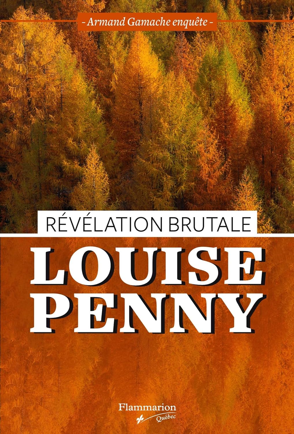 Livre Révélation brutale : Armand Gamache enquête - Louise Penny (Livre d'occasion) - ISBN 289077...