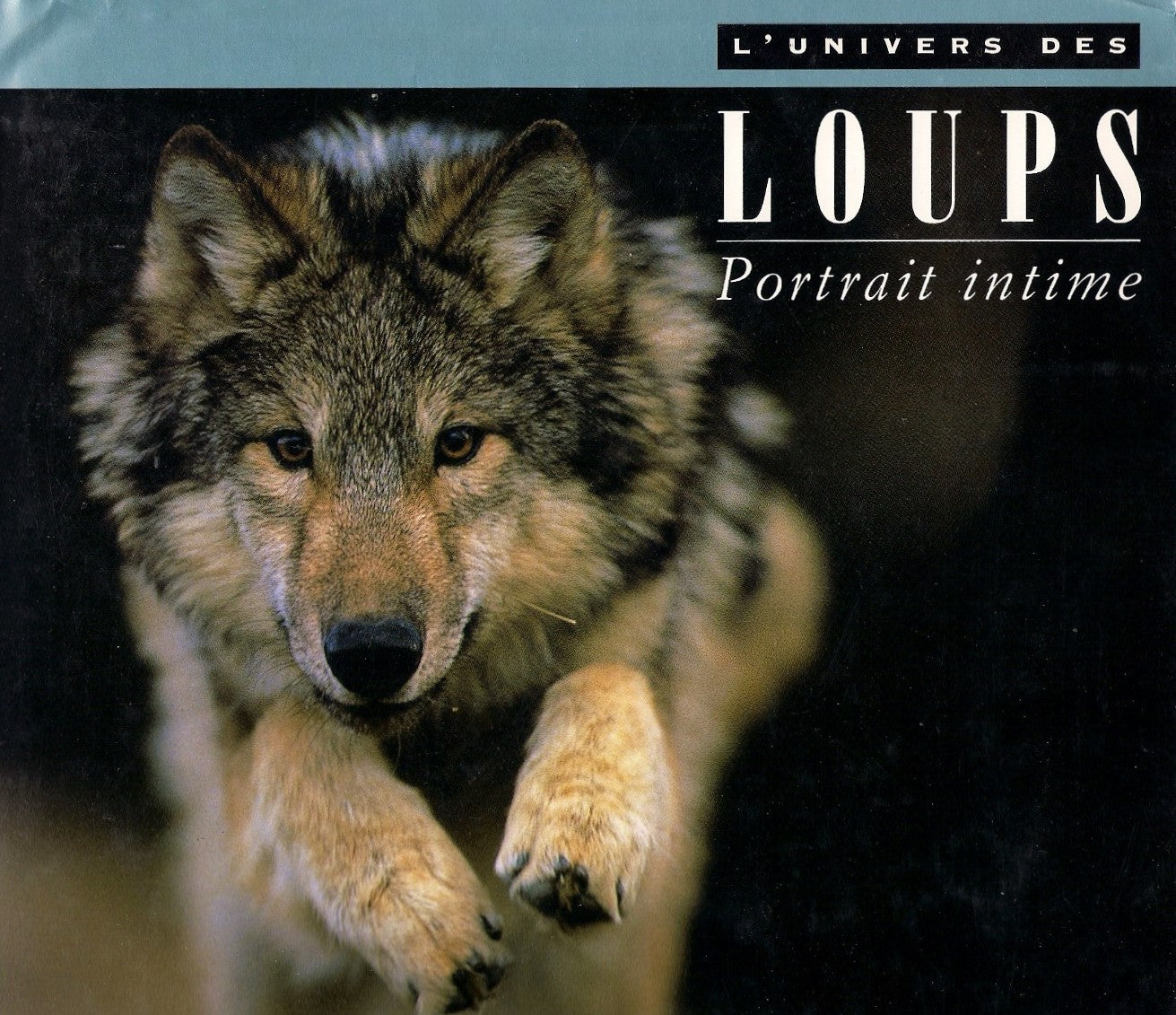 L'univers des Loups : Portrait intime - Candace Savage