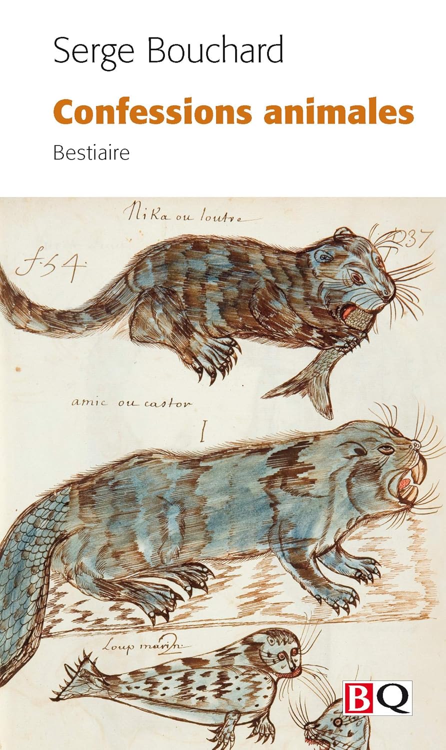Confessions animales : Bestiaire - Serge Bouchard