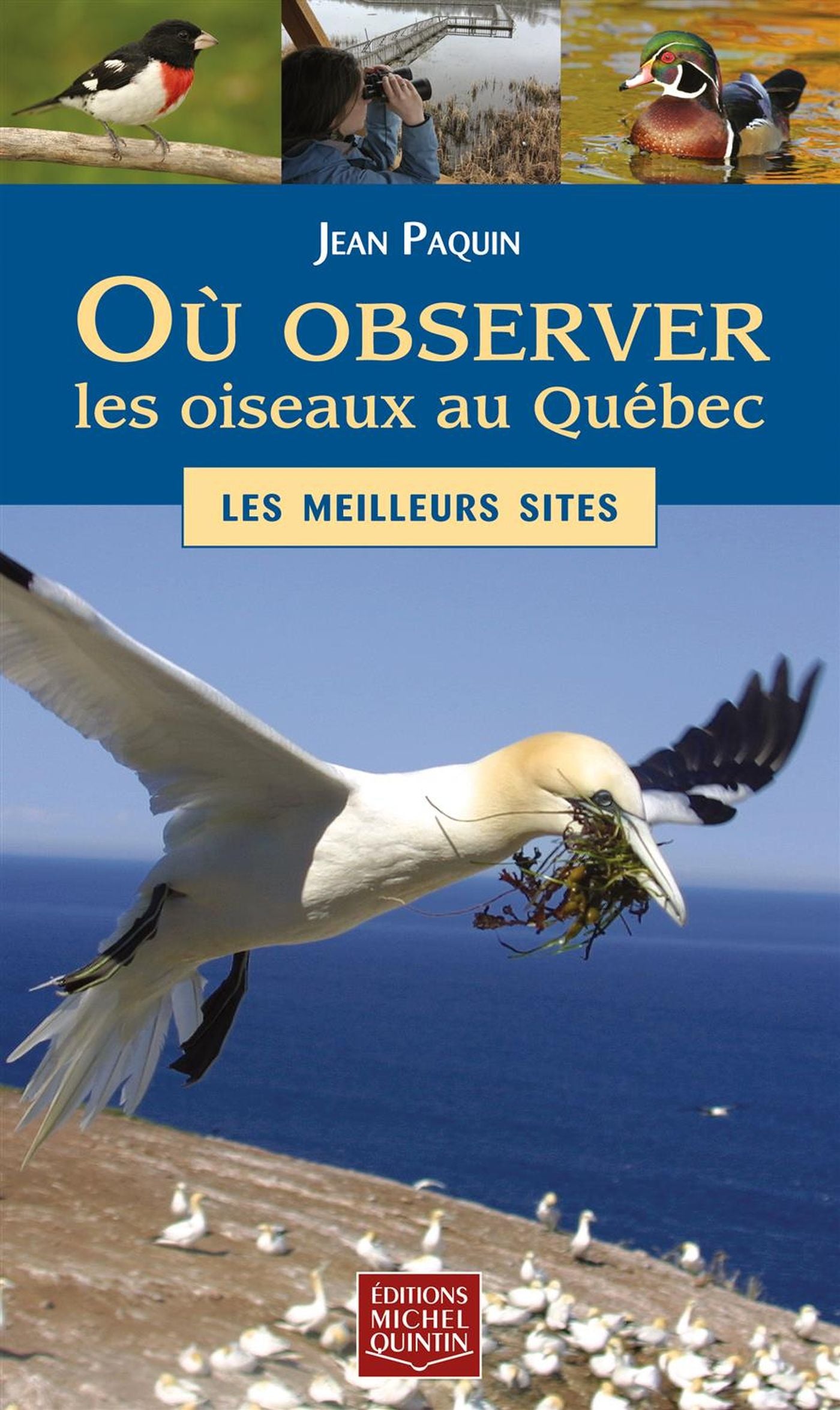 Où observer les oiseaux au Québec : Les meilleurs sites - Jean Paquin