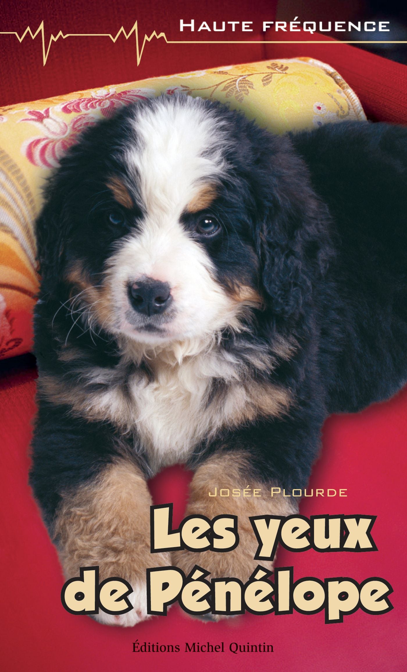 Livre Les yeux de Pénélope - Josée Plourde (Livre d'occasion) - ISBN 2894353308