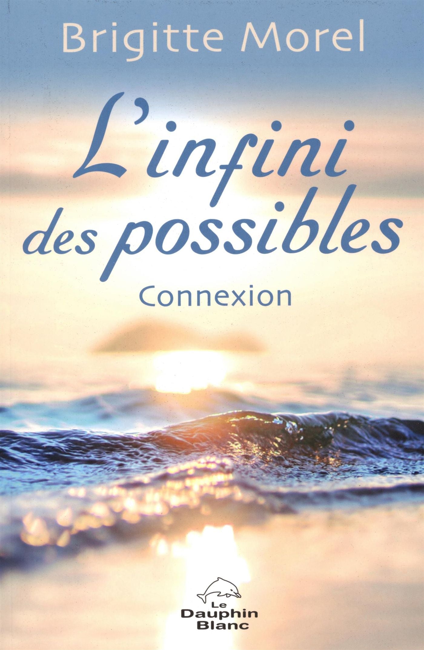 Livre L'infini des possibles : Connexion - Brigitte Morel (Livre neuf) - ISBN 2894366701
