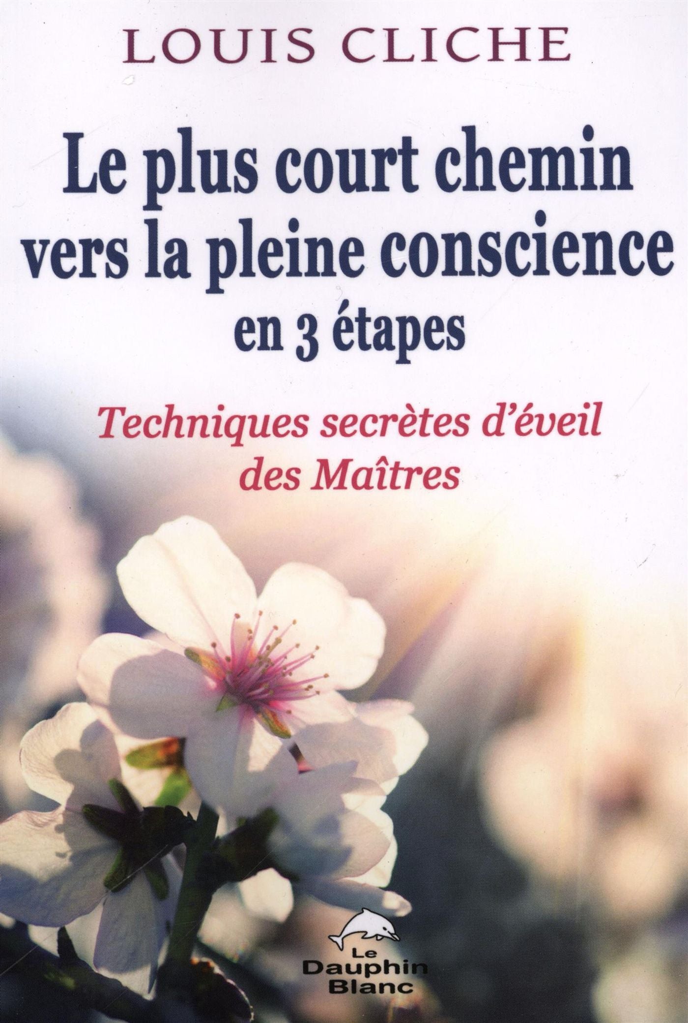 Livre Le plus court chemin vers la pleine conscience en 3 étapes : Techniques secrètes d'éveil de...