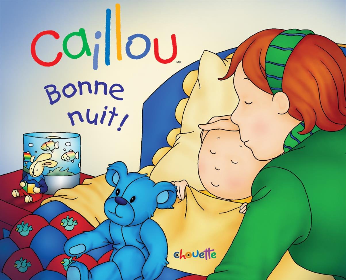 Livre Bonne nuit ! (Livre d'occasion)
