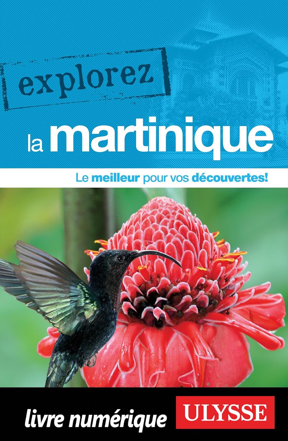 Explorez la Martinique - Claude Morneau